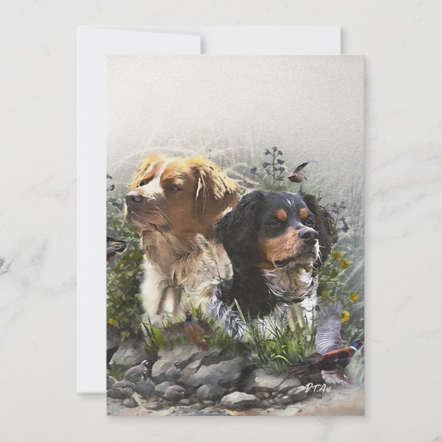 Epagneul Breton, Brittany Spaniel   Invitation (Front)