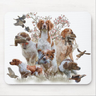 Epagneul Breton, Brittany Spaniel     Mouse Pad