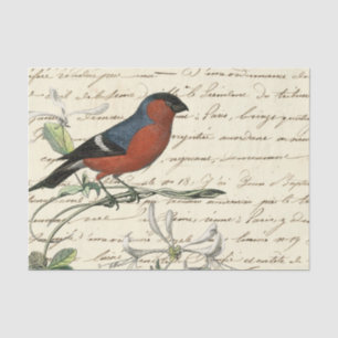 Ephemera Bird and Script Tissue Paper