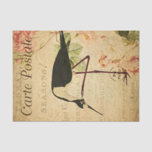 Ephemera French Postcard Avocet Bird Decoupage Tissue Paper