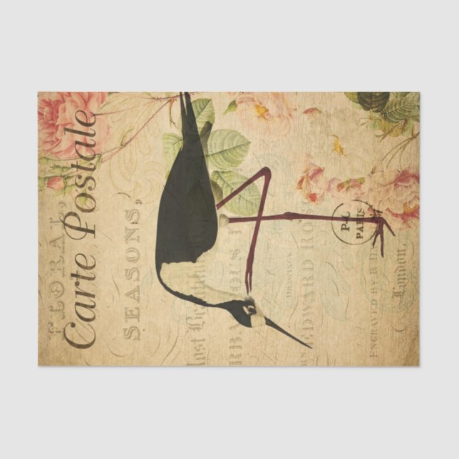 Ephemera French Postcard Avocet Bird Decoupage Tissue Paper (Front)