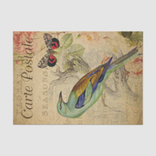 Ephemera French Postcard Bird Butterfly Decoupage Tissue Paper