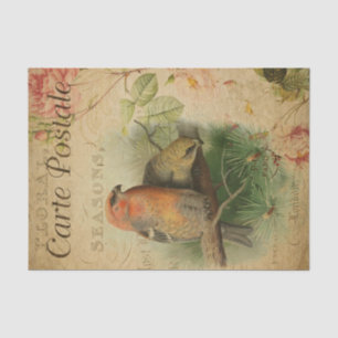 Ephemera French Postcard Birds Floral Decoupage Tissue Paper