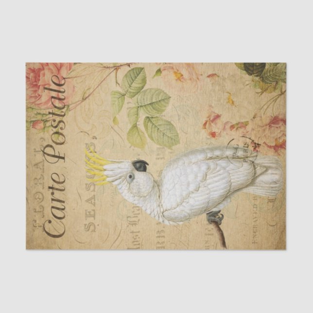 Ephemera French Postcard Cockatoo Bird Decoupage Tissue Paper (Front)