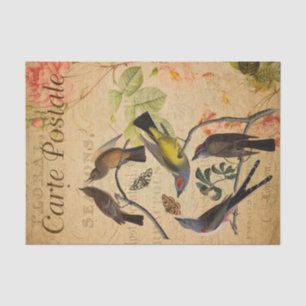 Ephemera French Postcard Flycatcher Bird Decoupage Tissue Paper