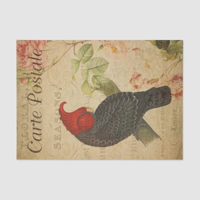 Ephemera French Postcard Ganga Cockatoo Decoupage Tissue Paper (Front)
