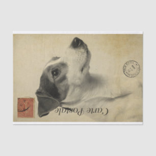 Ephemera French Postcard Jack Russel Terrier Dog Tissue Paper
