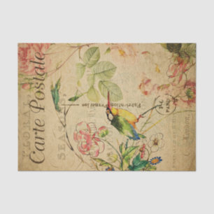 Ephemera French Postcard Kingfisher Bird Decoupage Tissue Paper