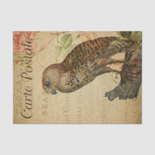 Ephemera French Postcard Owl on Branch Decoupage Tissue Paper