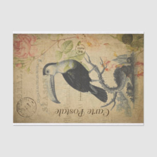 Ephemera French Postcard Toucan Bird Decoupage Tissue Paper