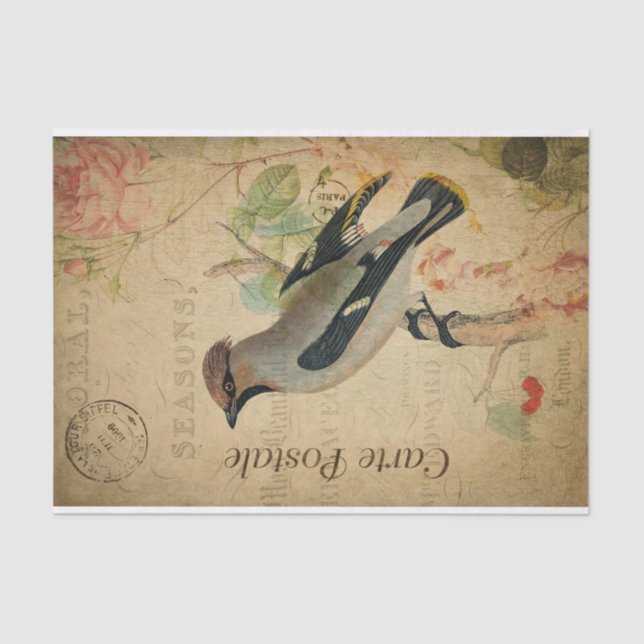 Ephemera French Postcard Waxwing Bird Decoupage  Tissue Paper (Front)