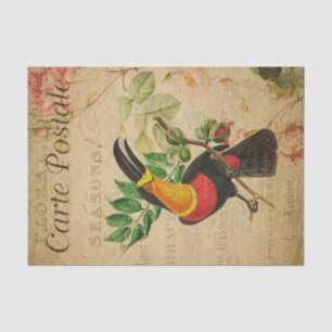 Ephemera French Tropical Toucan Bird Decoupage Tissue Paper