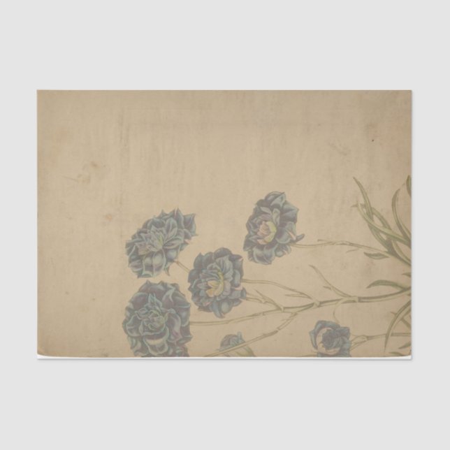 Ephemera Sheet Design Series #1 (Front)