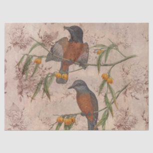 Ephemeral Birds Series Design Three Tissue Paper