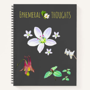 Ephemeral Thoughts Blank Notebook