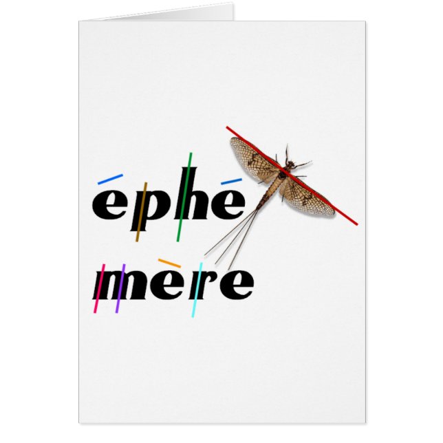 éphémère instantané (Front)