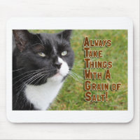Epic Advice from a Cat Motivation Slogan Time