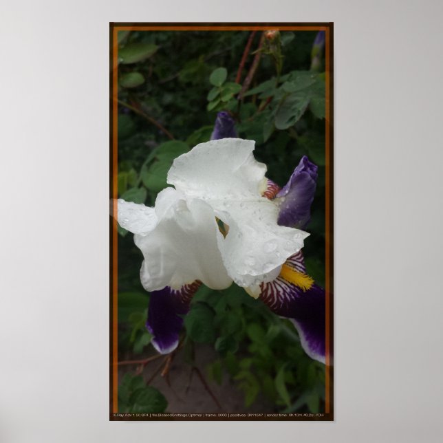 Epic Flower 1 Poster (Front)