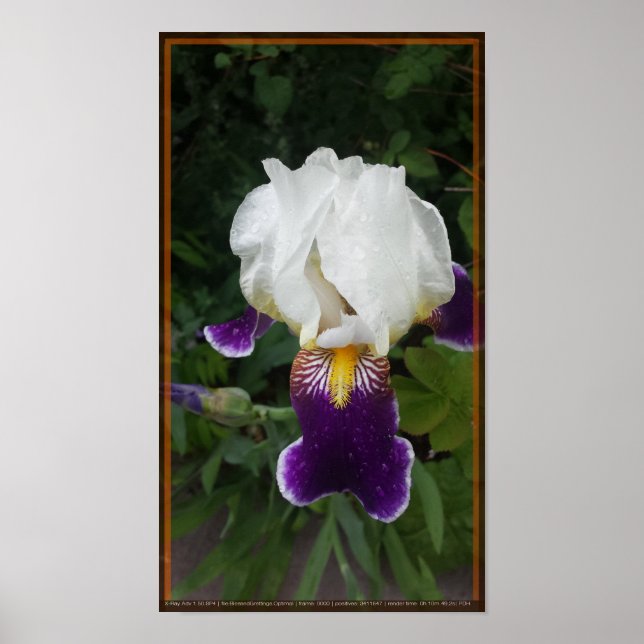 Epic Flower 3 Poster (Front)