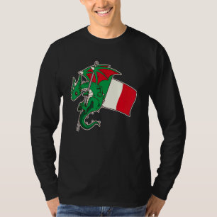 Epic Italian Dragon Proud Italy Flag T-Shirt