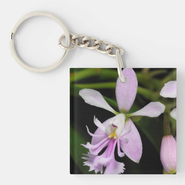 Epidendrum caligarium key ring (Front)