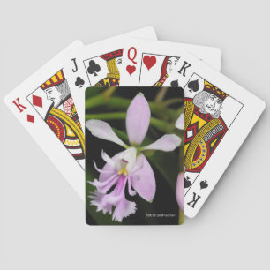 Epidendrum caligarium playing cards