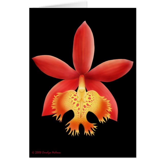 Epidendrum Orchid Flower Card (Front)