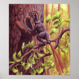 Epidexipteryx Print