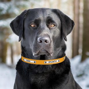 Epileptic Dog Alert Pet Epilepsy Warning Orange Pet Collar