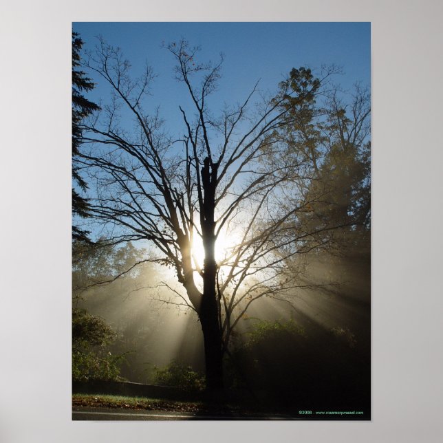 Epiphany Tree Poster (Front)