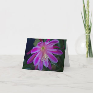 Epiphyllum blank card