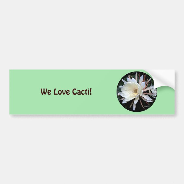 Epiphyte Cactus Flower Bumper Sticker (Front)