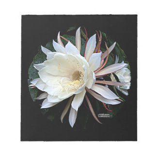 Epiphyte Cactus Flower Notepad