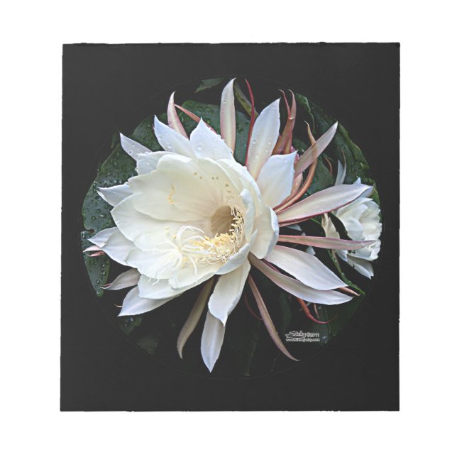 Epiphyte Cactus Flower Notepad (Front)