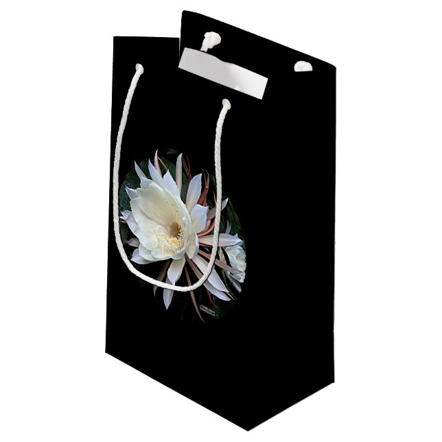 Epiphyte Cactus Flower Small Gift Bag (Back Angled)