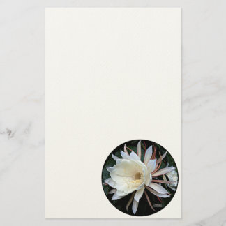 Epiphyte Cactus Flower Stationery