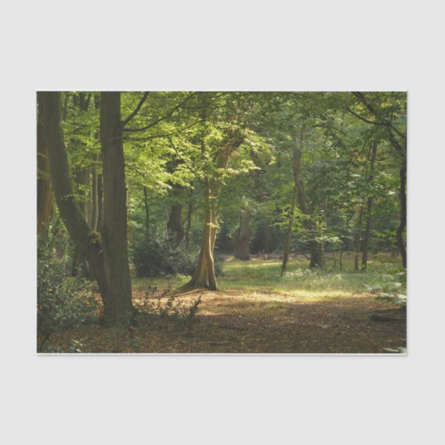 Epping Forest Tissue Paper (Front)