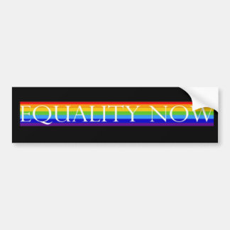 Equality Bumper Sticker