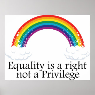 Equality is a right not a privilege poster