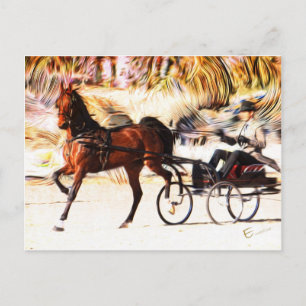 Equestrian   Flames Postcard