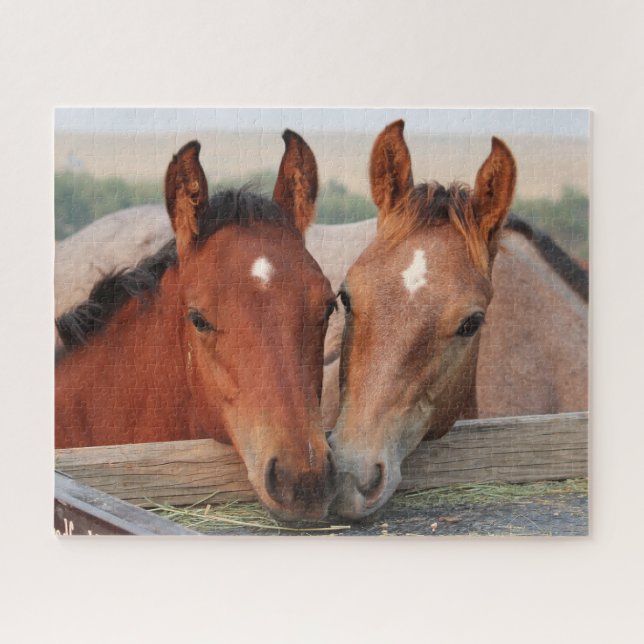 Equestrian Horse Foals Jigsaw Puzzle (Horizontal)