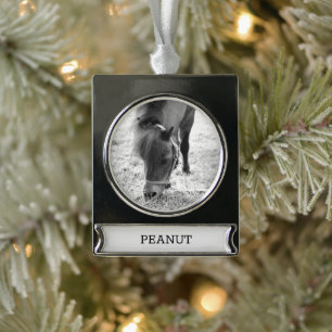 Equestrian Horse Lover PHOTO NAME Keepsake Silver Plated Banner Ornament