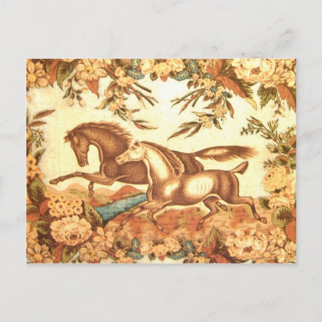 Equestrian Horse Postcard 1 (Front)