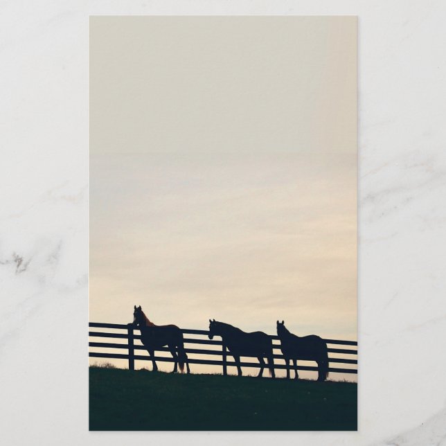 Equestrian Horses at the Pasture Fence Stationery (Front)