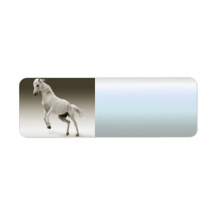 Equestrian White Mare Horse