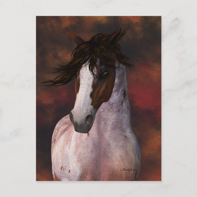 Equine Art,  Horse Postcard (Front)