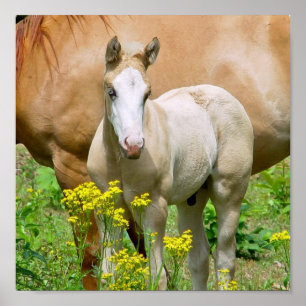Equine Art Poster Print