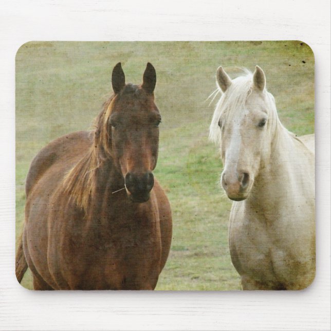 Equine Buddies Mouse Pad (Front)