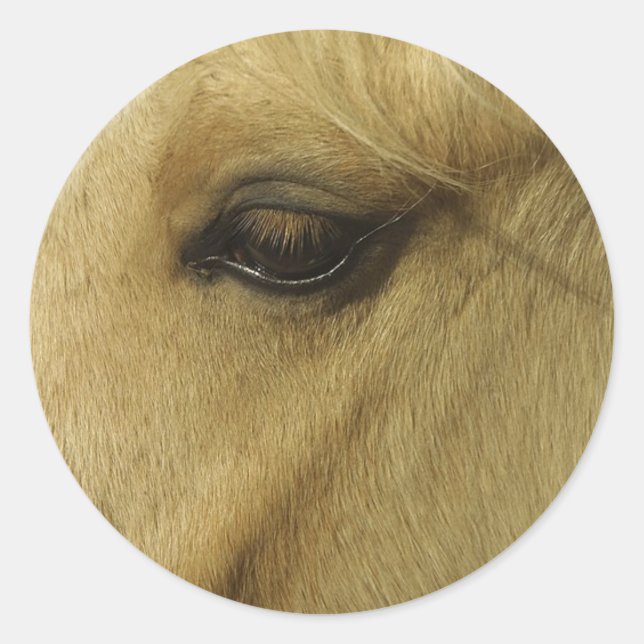 Equine Eye Classic Round Sticker (Front)