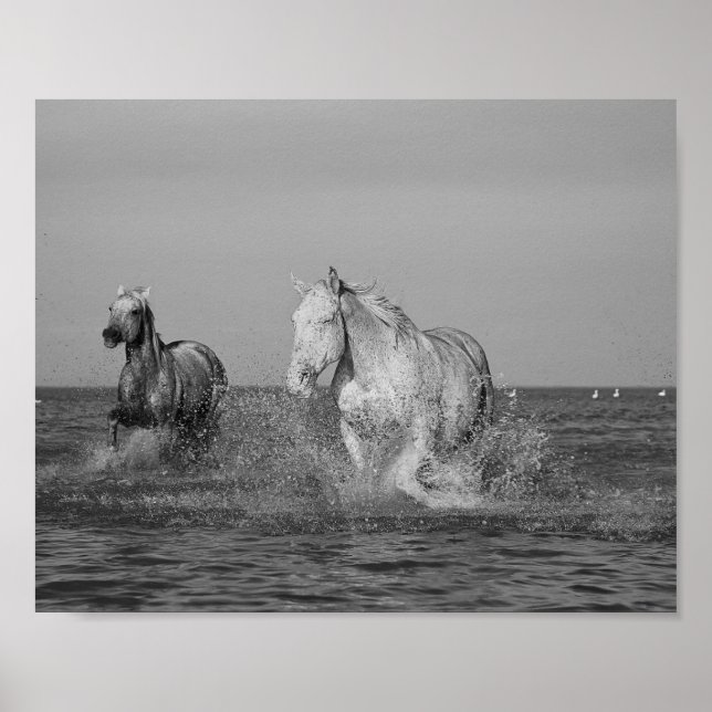 Equine fine art photography, poster (Front)
